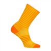 Calcetines SockGuy SGX 6" Gold Stripes