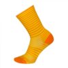 Calcetines SockGuy SGX 6" Gold Stripes